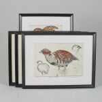690475 Color etchings